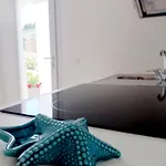 Dream